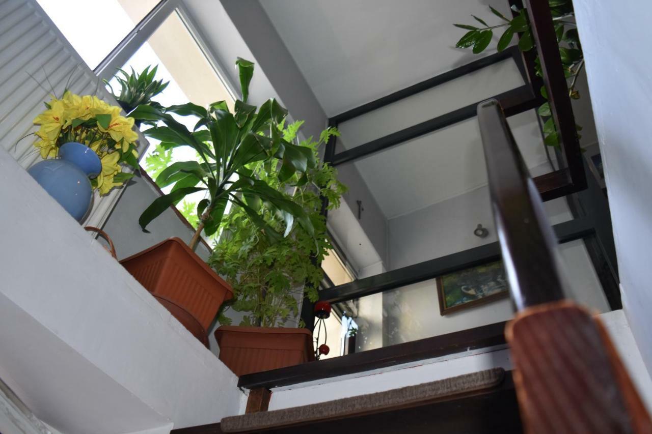 Hostel Baltic